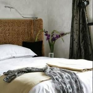 Luxury Single Room